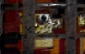 sponge bob goes 2 prison