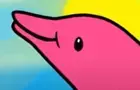 Plumpy the Pink Dolphin