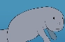 Manatee