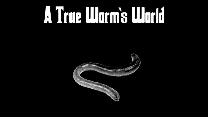 A True Worm's World