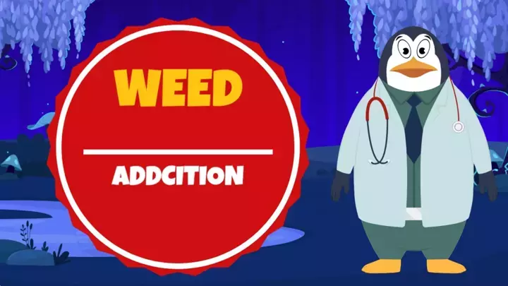 Weed Addiction to High THC