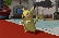 Pikachu dances for one minute while I play fitting music
