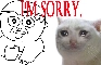 HASBULLAS APOLOGY