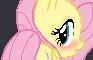 Fluttershy shows he pony plot, not meme NSFW