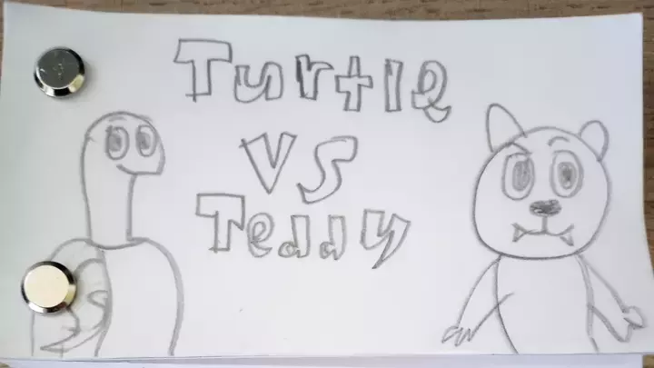 Turtle vs Teddy Flipbook