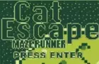 Cat Escape Maze Run