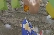 sonic gets crapped on in the woods