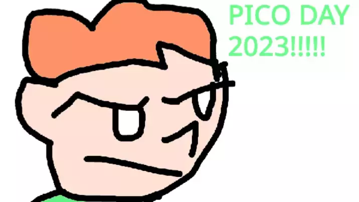 Pico looks