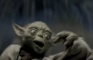 Yoda Will Never Forget