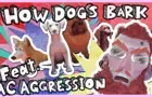 How Dogs Bark (Feat. MC Aggression)