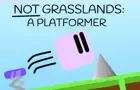 NOT Grasslands