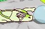 weed cat plays with a balloon