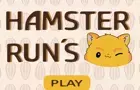 hamster runs