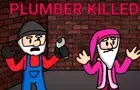 PLUMBER KILLED