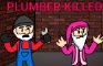 PLUMBER KILLED