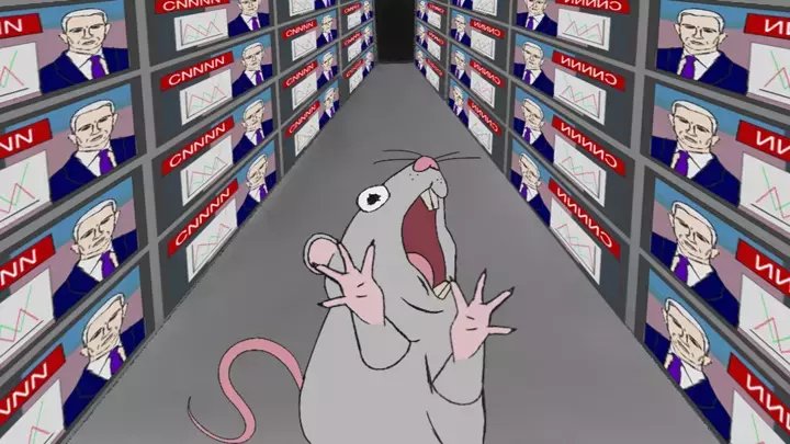 Mouse Screams at CNN News
