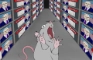 Mouse Screams at CNN News