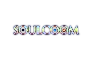 SOULCOOM - Developer Edition