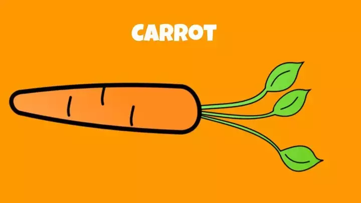 Noob Eats Carrot VHS Newgrounds Edition