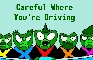Careful Where You're Driving!