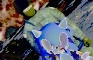 Sonic beheaded by Isis,