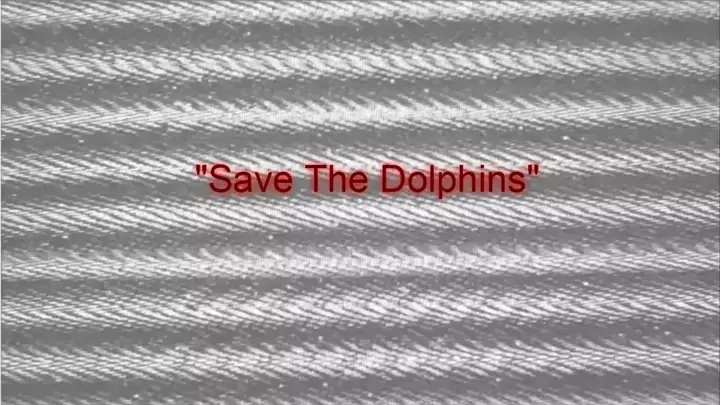 "Save The Dolphins"