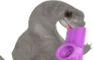 Dance.png.gif