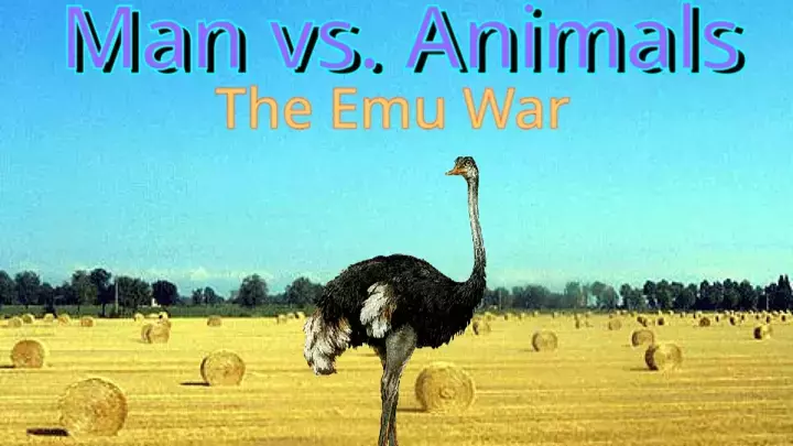 Man vs. Animals: The Emu War