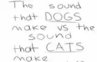 The Sound of dogs vs the sound of cats