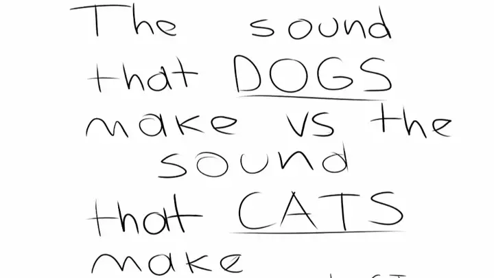 The Sound of dogs vs the sound of cats
