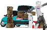BRAWLERS STORE 2023