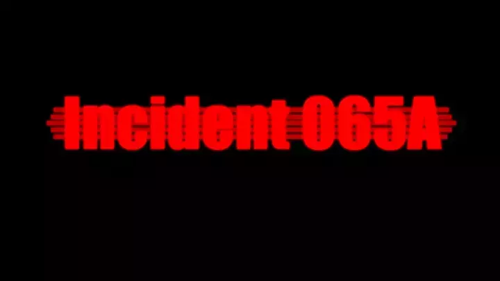 Incident 065A