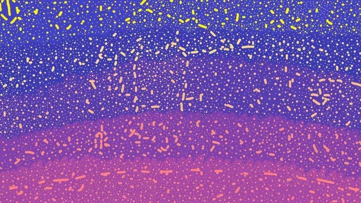 Starfall
