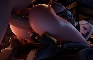 Ashe