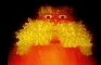 The Lorax's Revenge