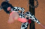 Request: Hucow Phoebe's Reward Animated
