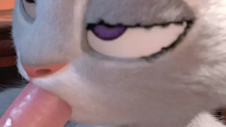 Loop: Nick and Judy - Red Cherry