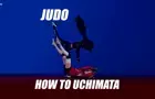 Cat fight - Judo Throw (Uchimata)