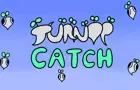 Turnip Catch