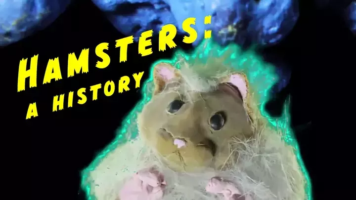 Hamsters: A History
