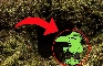 paranormal sightings!1!