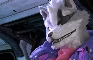 Loop: Fox and Wolf - Space Hustle