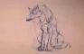 Get dogified idiot