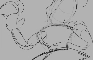 Ballora Chase | Ibis Animation Test 20fps