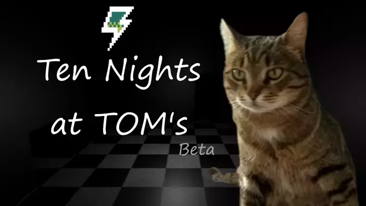 Ten Nights at TOM's