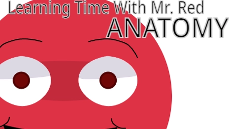 Learning Time With Mr. Red: Anatomy