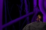 What Lurks in the Dark