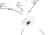 My anus