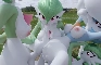 Gardevoir Breeding Frenzy