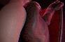 [Blender] Uninvited guest -Hallowen special-